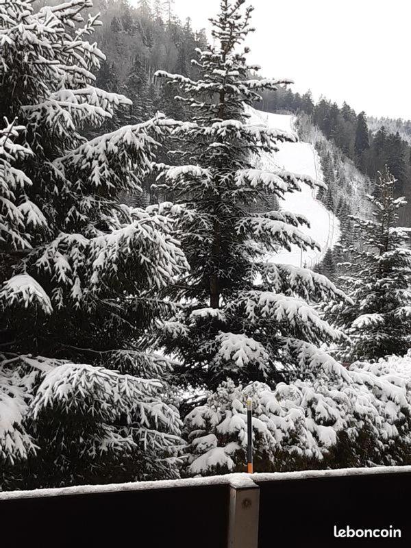 Appartement A La Montagne ,Vue Sur Les Pistes La Bresse Exterior photo